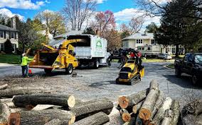 Best Emergency Tree Removal  in Concordia, NJ