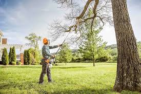 Best Hedge Trimming  in Concordia, NJ