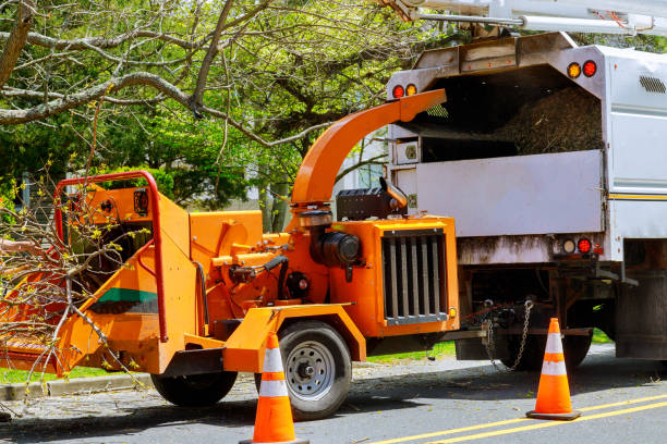 Best Tree Maintenance Programs  in Concordia, NJ