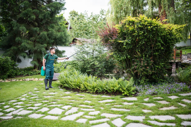 Best Organic Lawn Care Solutions  in Concordia, NJ